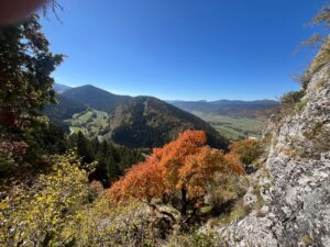 🧗 Sortie en falaise à Lans-en-Vercors