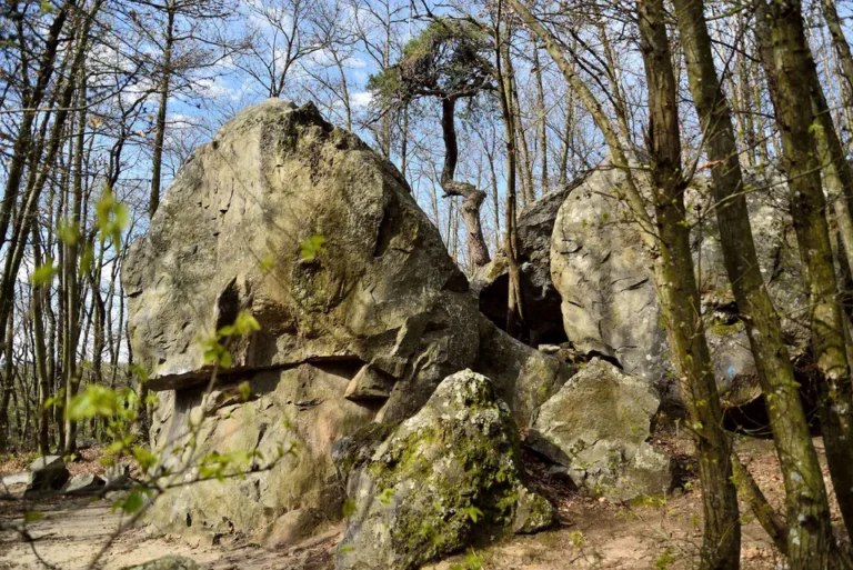 bloc escalade Drôme forêt Roches qui dansent